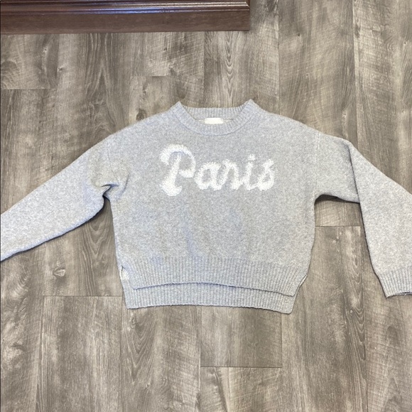 Pink Rose Sweaters - Gray Paris Sweater